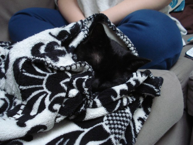 Gastrol van mijn zondagnamiddagoutfit 