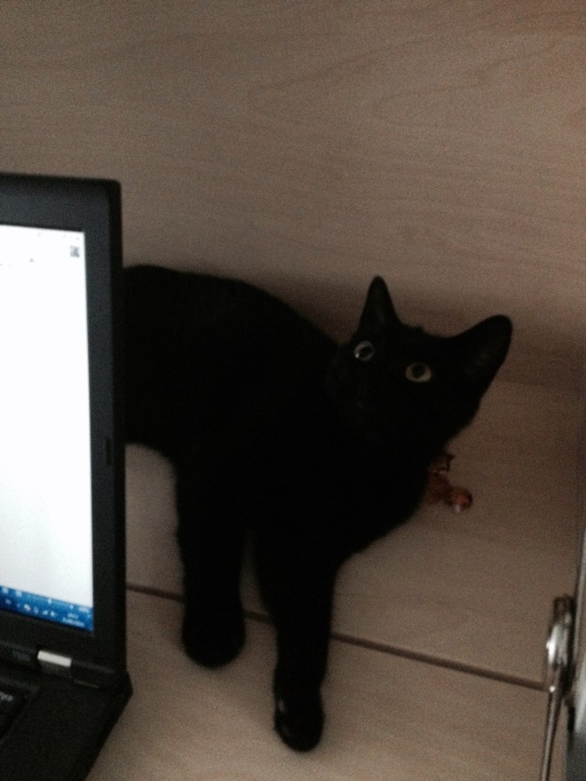 Ik heb hier ook al een vriendje gemaakt. 