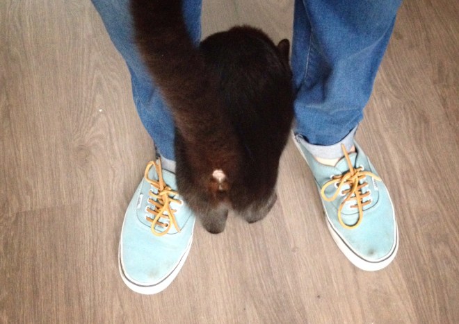 Kiss my ass zegt ze. 