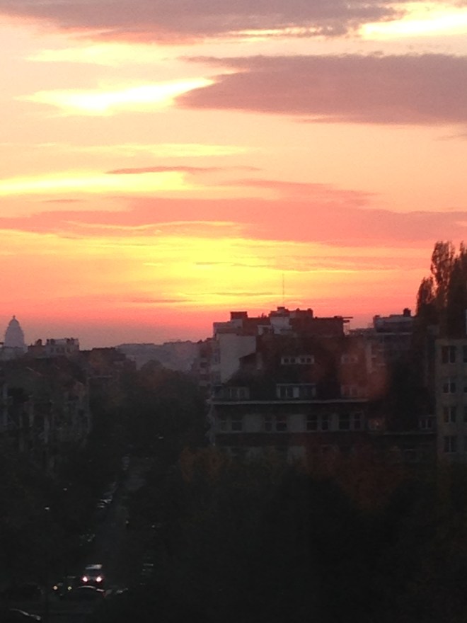 Mijn gemoedstoestand was zoals het zicht vanuit mijn bureau op het werk. Zen. 
