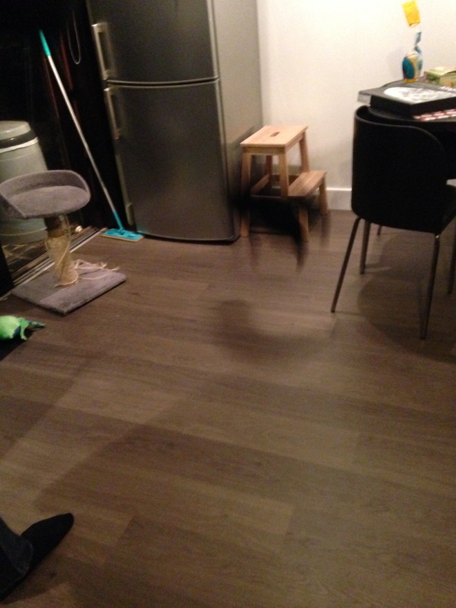 Die zwarte wazige vlek = Poes.