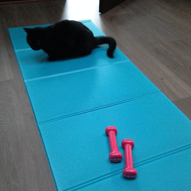 Poes workin' on her fitness. 
