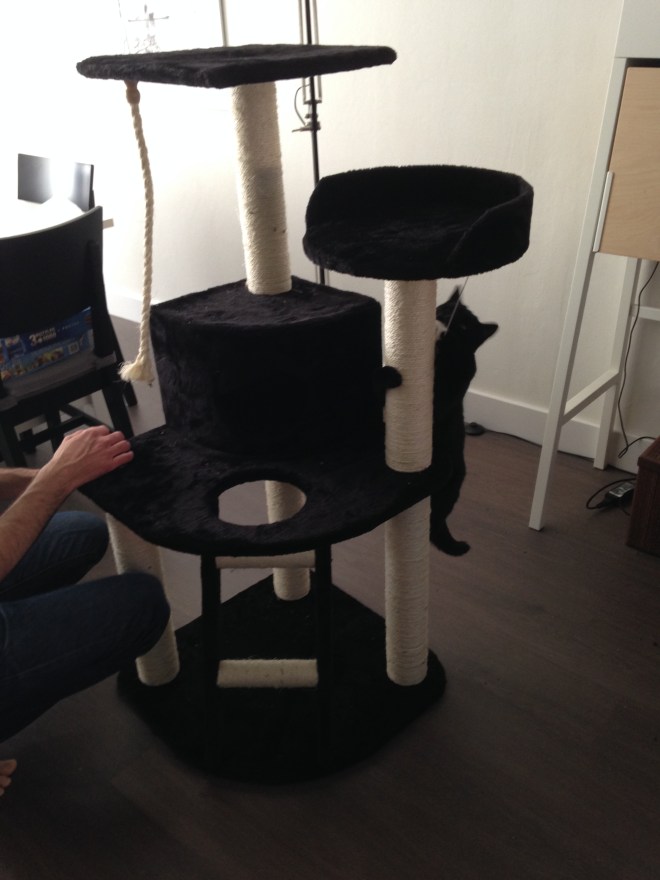 Het Vriendje ging eigenlijk niet helpen, maar kwam toch even checken of ik nog geen zenuwinzinking aan het krijgen was. En Poes kon duidelijk niet wachten tot het ding klaar was. 