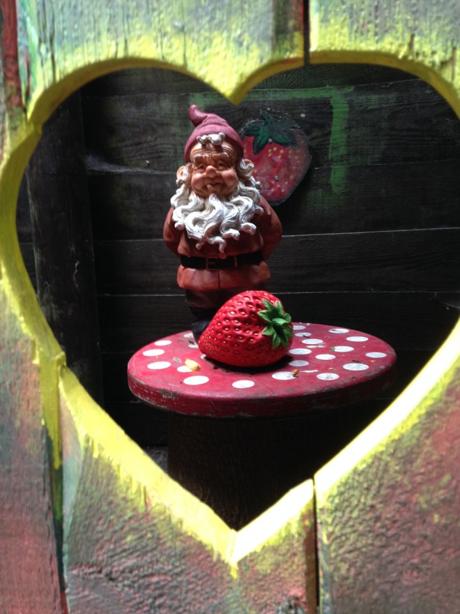 ... En waar sneaky kabouters klaarstaan voor Instagram-waardige foto's. 