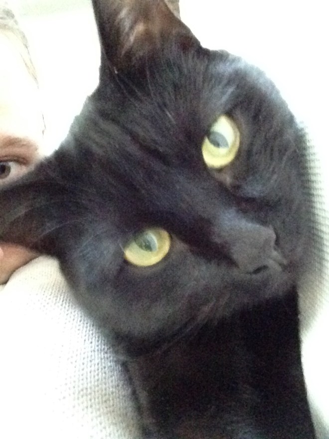 20150913 poes selfie