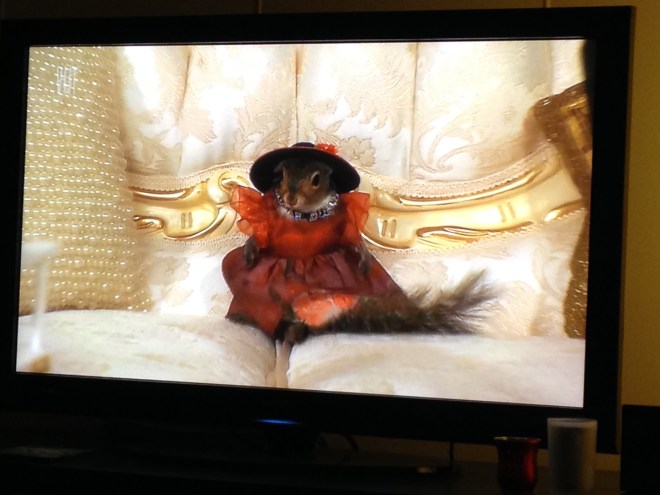 Op tv ging een aflevering van My Crazy Obsession over een vrouw die haar hele leven en al haar geld spendeerde aan haar eekhoorn. En nu wil ik ook een eekhoorn. 