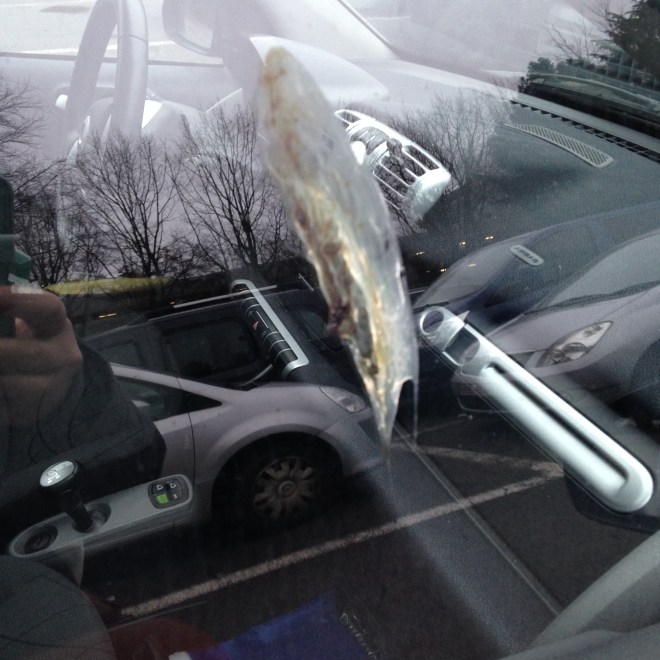 Toen ik vanochtend een kwartier te laat vertrok heeft het universum mij meteen gestraft door een vogel een gigantische drol te laten leggen op mijn arme auto. Serieus, was dat een pelikaan ofzo? 