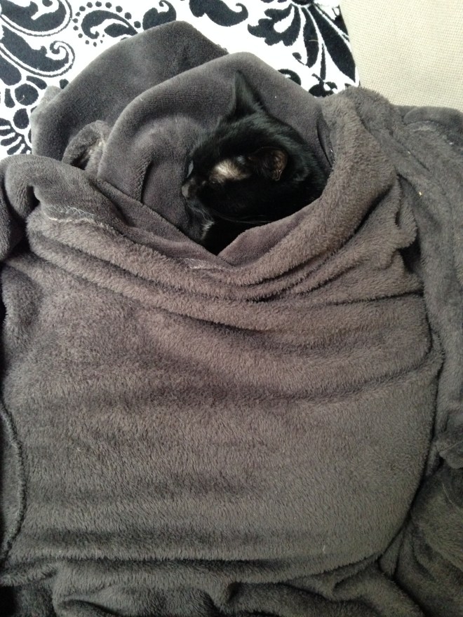 Nog een totaal ongerelateerde foto van Poes Springsteen. 