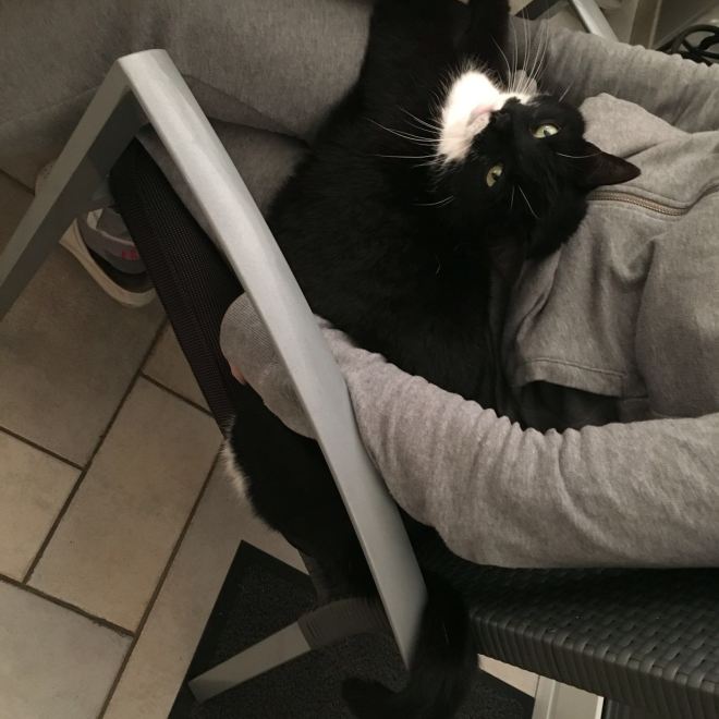 Zo kreeg ik er vijf, allemaal vanuit een andere hoek getrokken. Love it.