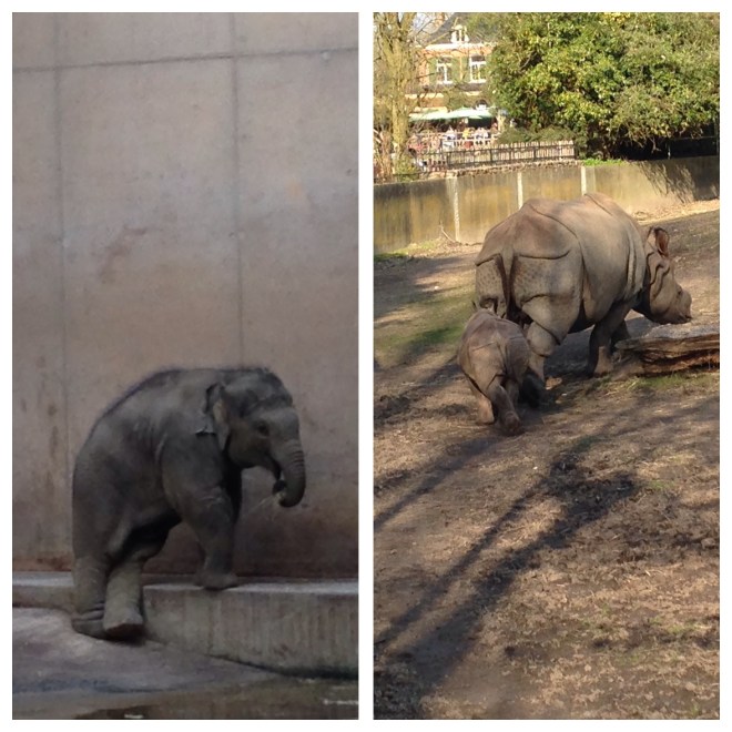 Kijk dan toch hoe Qiyo staat. KIJK DAN TOCH!