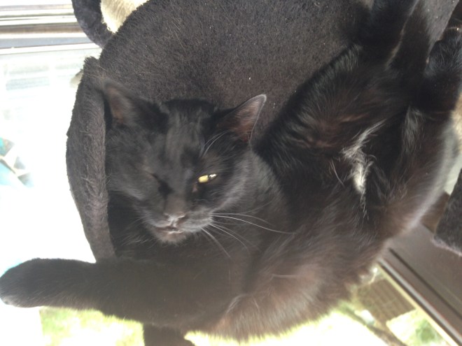 Ik wil op vrijdag vooral tijd genoeg overhouden om te knuffelen met deze demoon. 